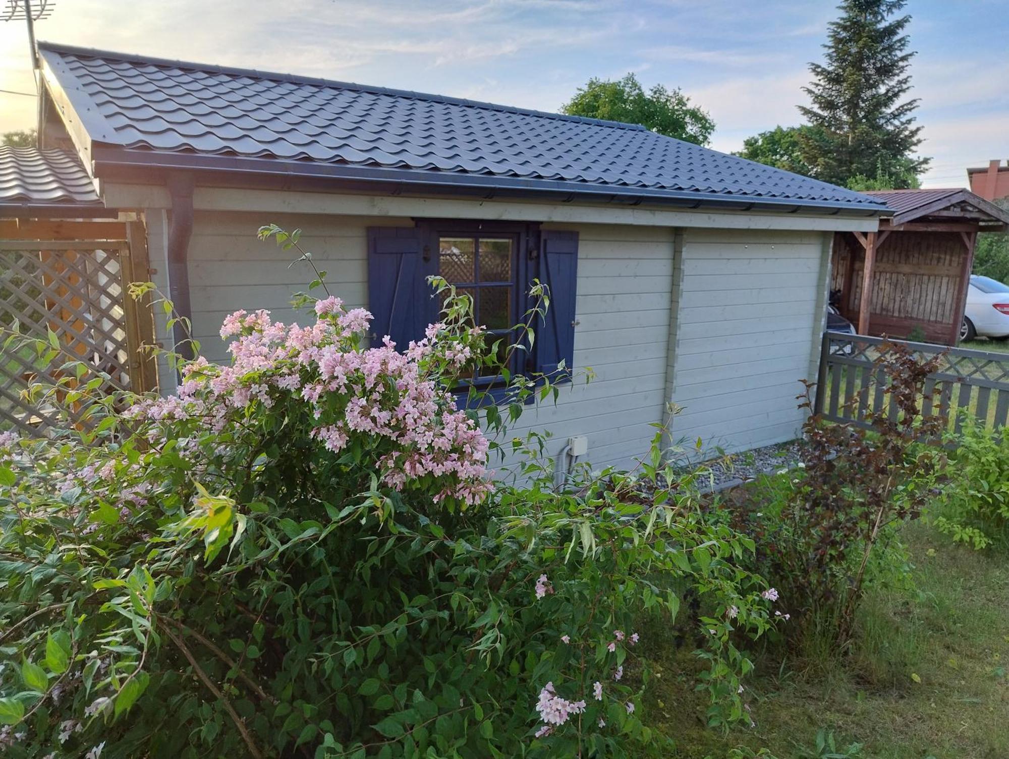 Domki Przy Orzechu Lubin  Exteriör bild